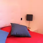 With Garden And Cosy Attic