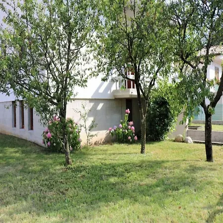 With Garden And Cosy Attic